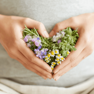 The Importance of Gut Health: Understanding the Gut Microbiome and the Role of Probiotics and Prebiotics – Celebrate Vitamins